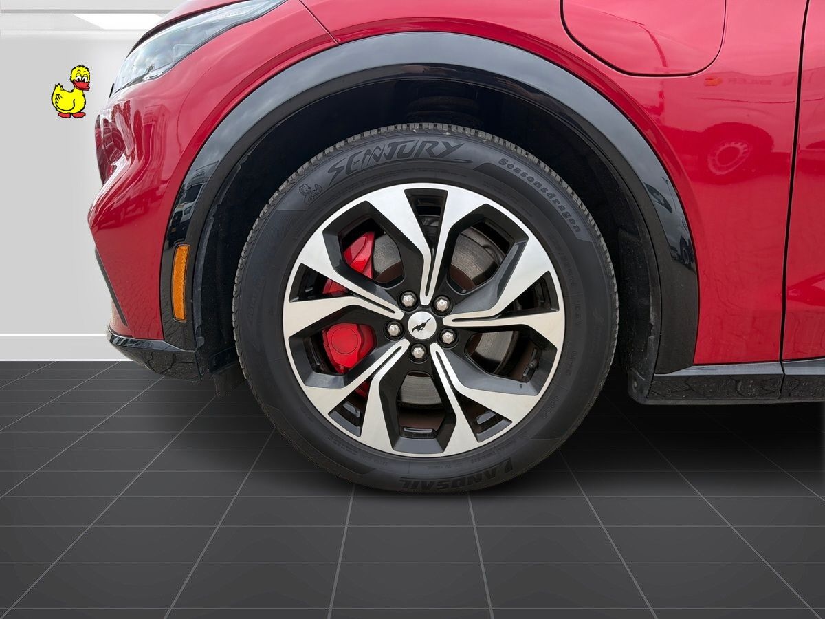 Billede af Ford Mustang Mach-E EL SR AWD 315HK 5d Aut.