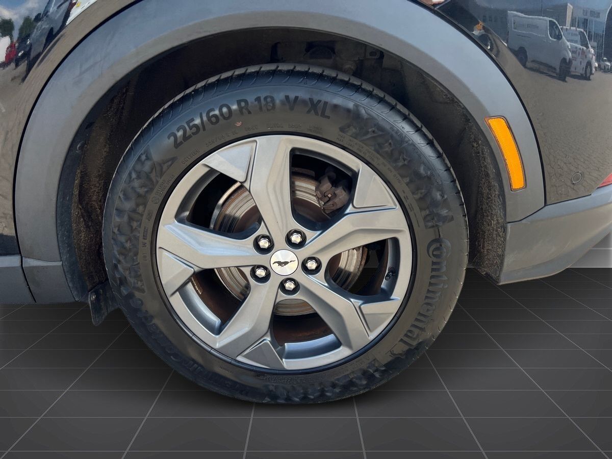Billede af Ford Mustang Mach-E EL SR 269HK 5d Aut.