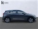 Billede af Kia Niro 1,6 GDI PHEV  Plugin-hybrid Vision DCT 141HK 5d 6g Aut.