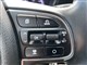 Billede af Kia Niro 1,6 GDI PHEV  Plugin-hybrid Vision DCT 141HK 5d 6g Aut.