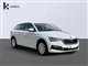 Billede af Skoda Scala 1,0 TSI Tour de France DSG 110HK 5d 7g Aut.