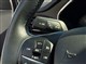 Billede af Ford Focus 1,5 EcoBlue Active 120HK Stc 8g Aut.
