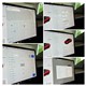 Billede af Tesla Model 3 EL Standard Range Plus 283HK Aut. 