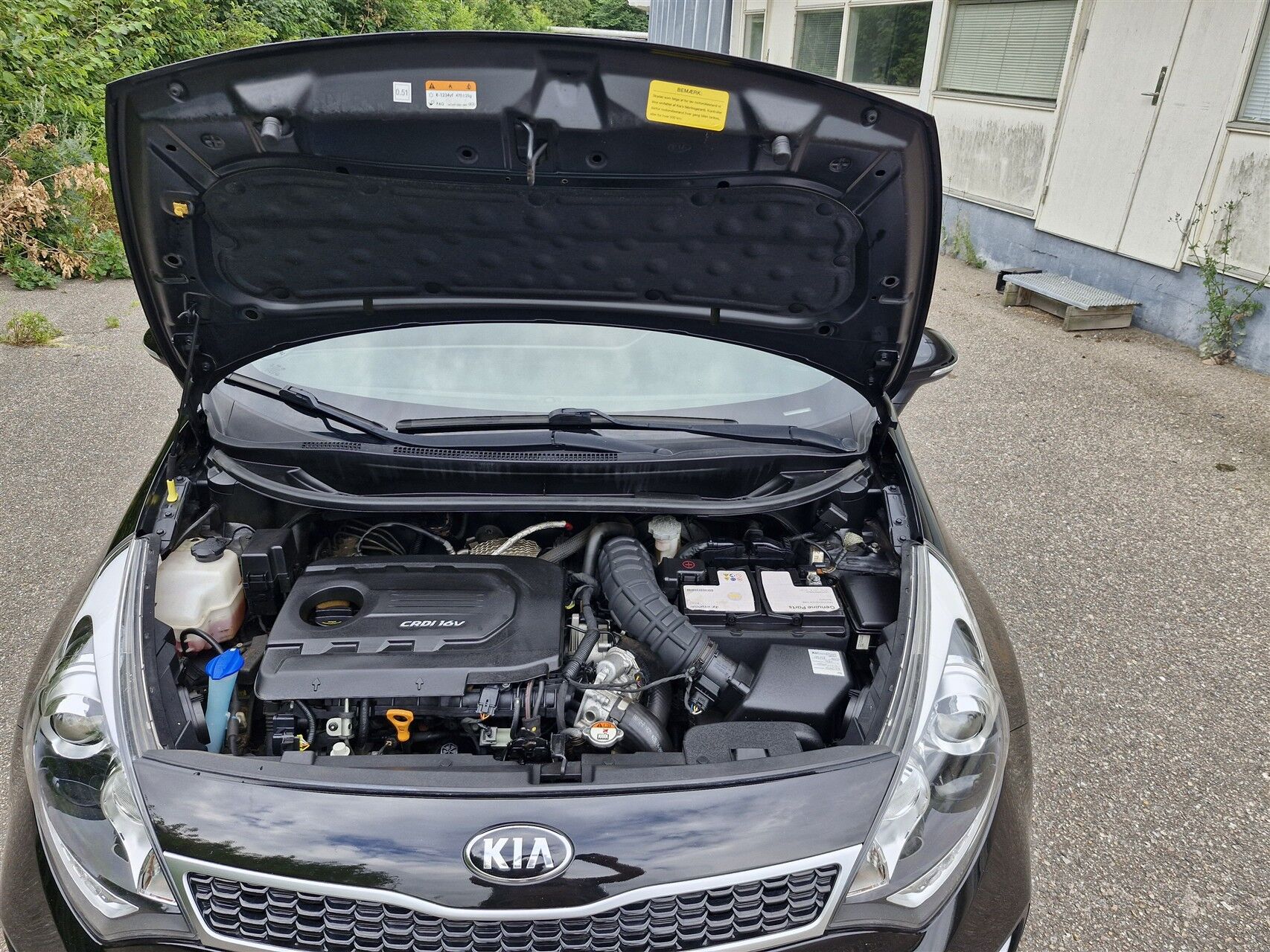 Billede af Kia Rio 1,4 CRDI Premium 90HK 5d 6g