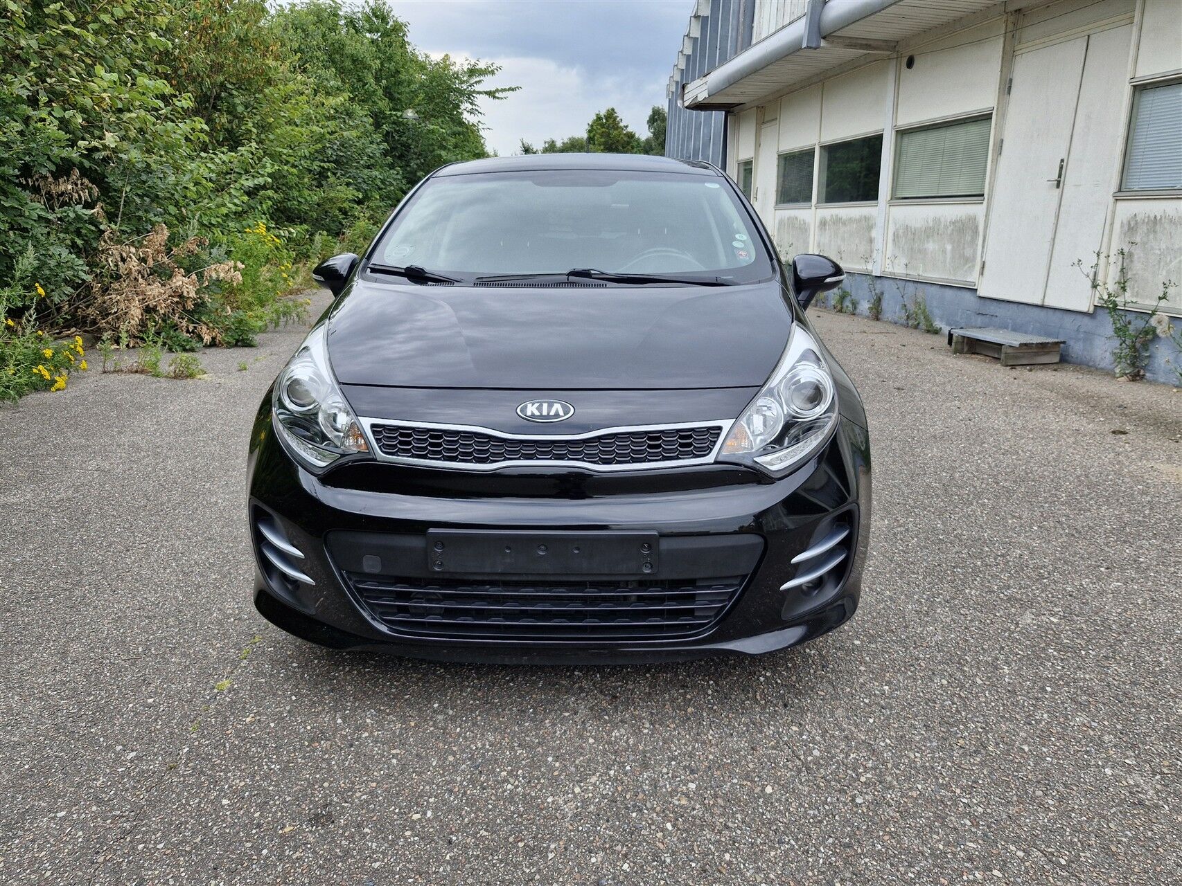 Billede af Kia Rio 1,4 CRDI Premium 90HK 5d 6g