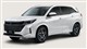 Billede af Navor E5 1,5 Plugin-hybrid Rock E-CVT 218HK 5d Aut.