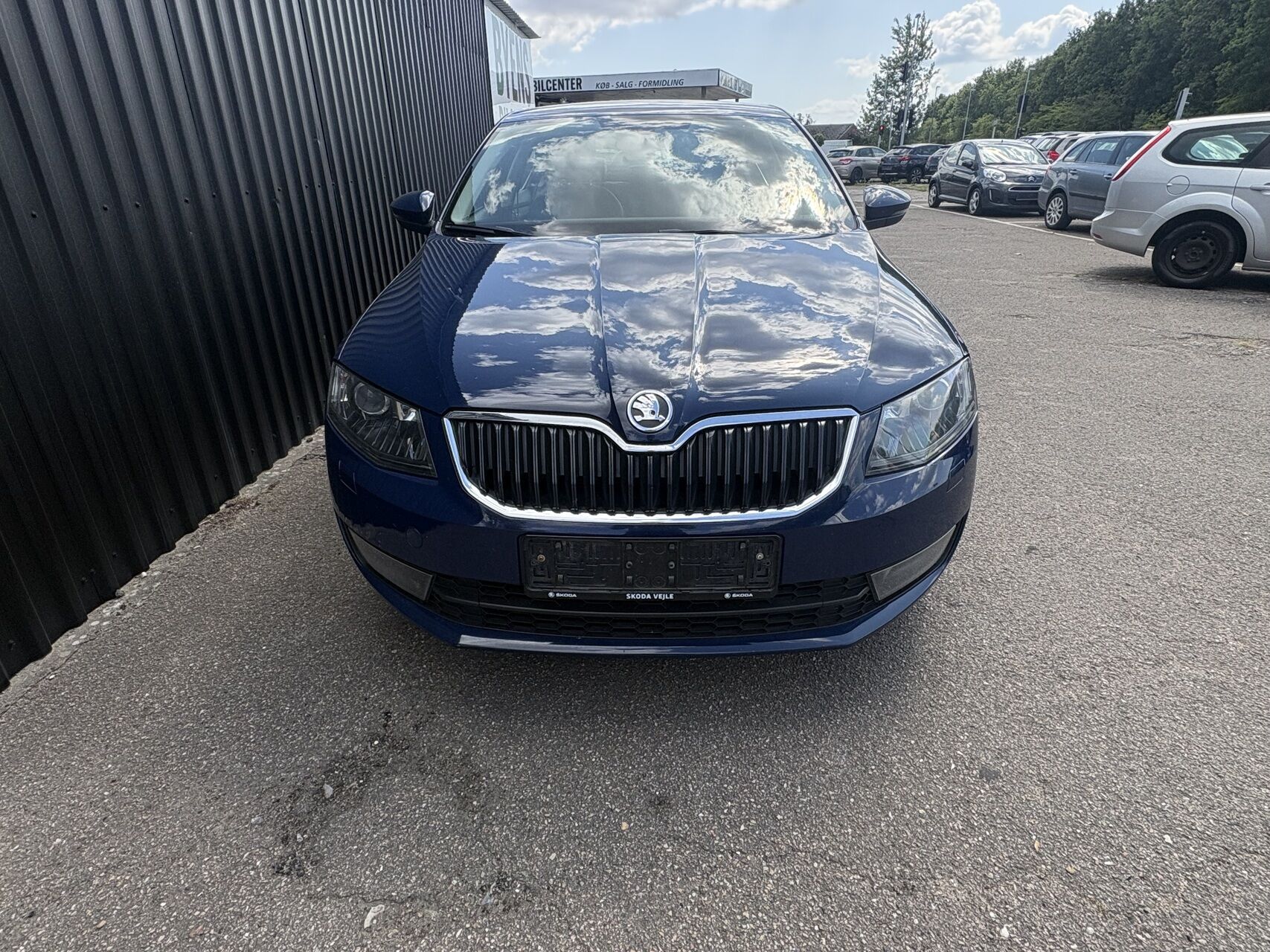 Billede af Skoda Octavia 1,6 TDI Common Rail DPF Elegance 105HK 5d