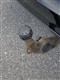 Billede af Audi A6 Avant 3,0 TDI S Tronic 218HK Stc 7g Aut.