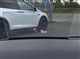 Billede af VW Passat Variant 1,4 TSI  Plugin-hybrid GTE DSG 218HK Stc 6g Aut.