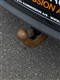 Billede af Citroën C3 1,0 VTi Seduction 68HK 5d