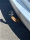 Billede af VW Touran 1,6 BlueMotion TDI Trendline 105HK 6g