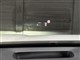 Billede af Ford Capri EL UR Premium AWD 340HK 5d Aut.