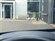 Billede af Mazda CX-30 2,0 Skyactiv-G  Mild hybrid Sky 150HK 5d 6g Aut.