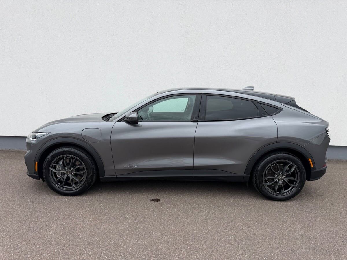Billede af Ford Mustang Mach-E EL SR 269HK 5d Aut.