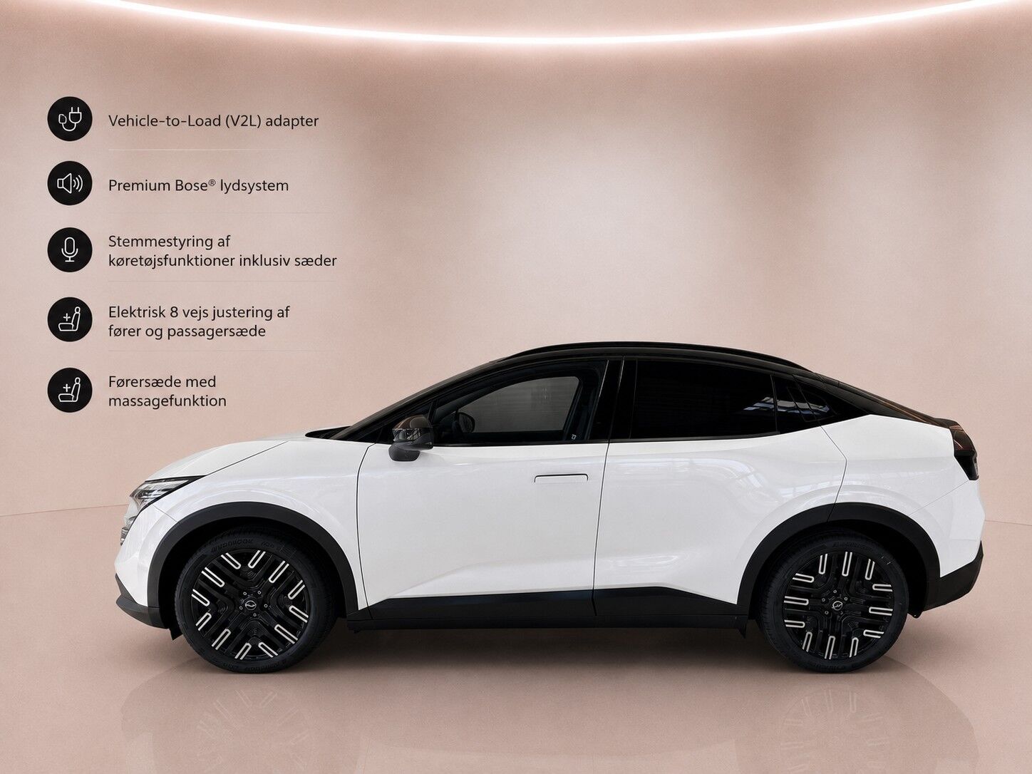 Billede af Nissan Leaf 75 kWh Evolve 217HK 5d Aut.