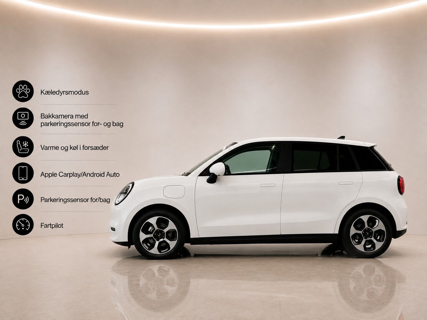Billede af JAC E30X EL Pure 136HK 5d Aut.