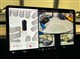 Billede af Tesla Model Y EL RWD 299HK 5d Aut.
