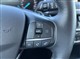 Billede af Ford Focus 1,5 EcoBoost Active 150HK 5d 8g Aut.