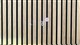 Billede af Ford Capri EL UR Premium 286HK 5d Aut.