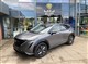 Billede af Nissan Ariya EL Advance e-4orce 301HK 5d Aut.