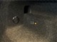 Billede af Skoda Enyaq 85x iV Sportline 4x4 286HK 5d Aut.