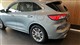 Billede af Ford Kuga 2,5 Plugin-hybrid Vignale CVT 225HK 5d Trinl. Gear