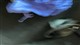 Billede af Ford Kuga 2,5 Plugin-hybrid Vignale CVT 225HK 5d Trinl. Gear