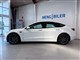 Billede af Tesla Model 3 EL Standard Range Plus 325HK Aut.