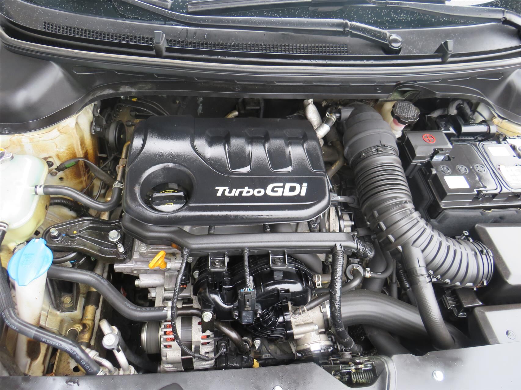 Billede af Hyundai i20 1,0 T-GDI Trend 100HK 5d