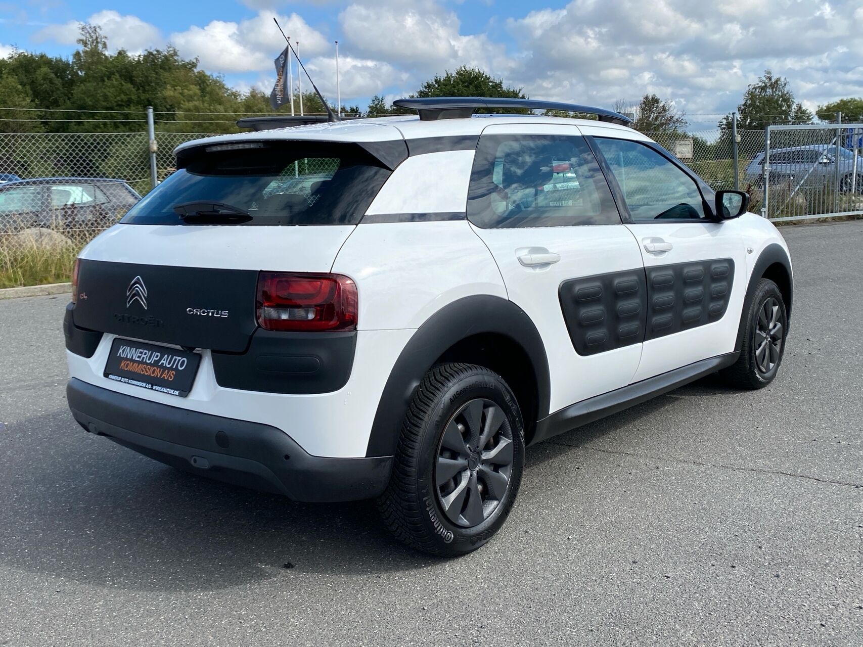Billede af Citroën C4 Cactus 1,6 Blue HDi Iconic Free start/stop 100HK 5d