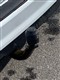 Billede af Ford C-MAX 1,5 TDCi Business Powershift 120HK 6g Aut.