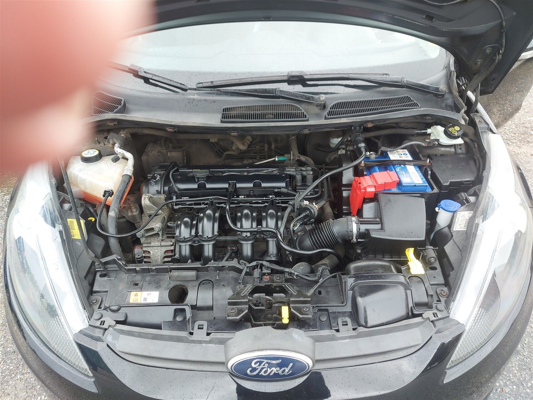 Billede af Ford Fiesta 1,25 Trend 60HK 5d