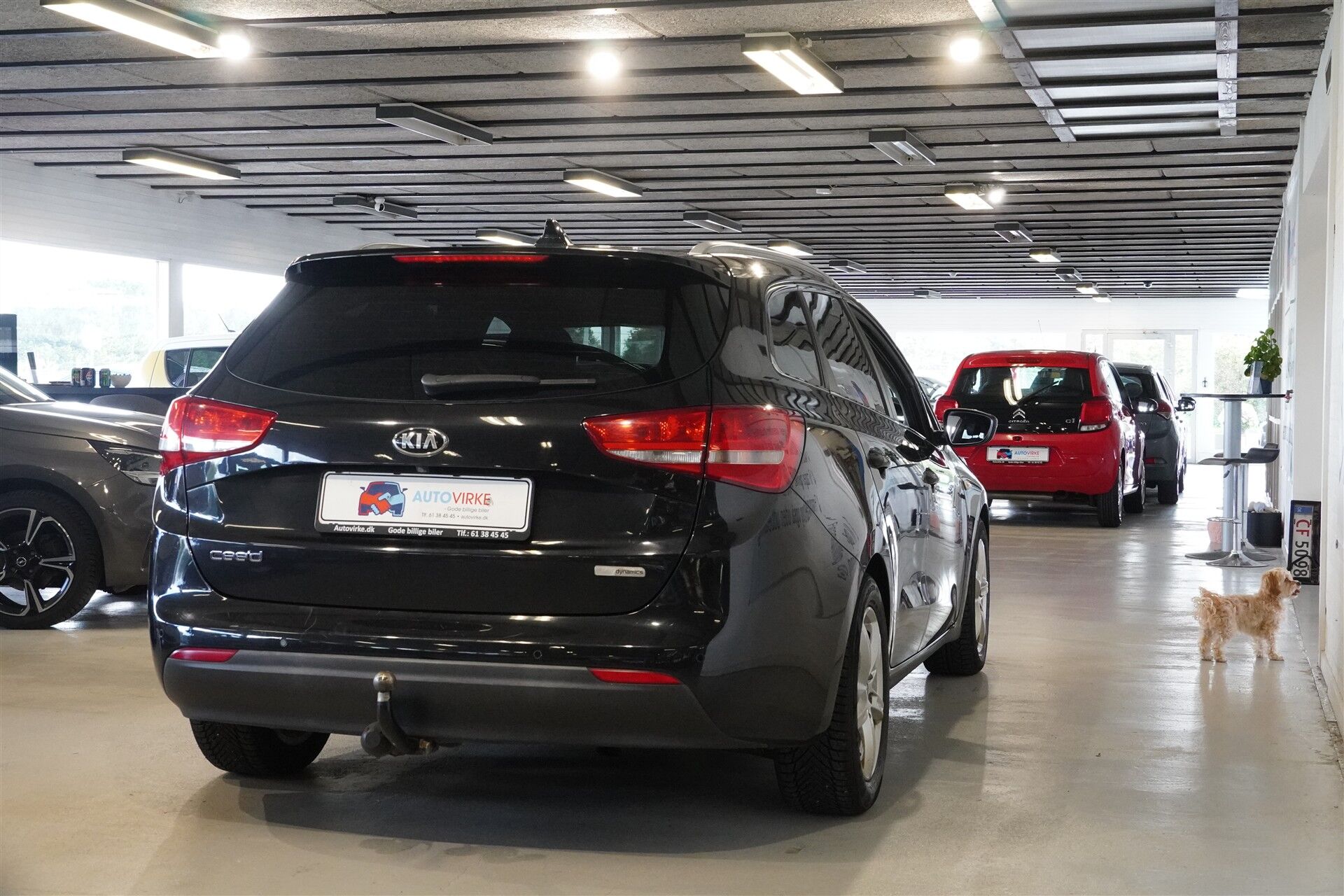 Billede af Kia Ceed SW 1,0 T-GDI Limited 100HK Stc 6g