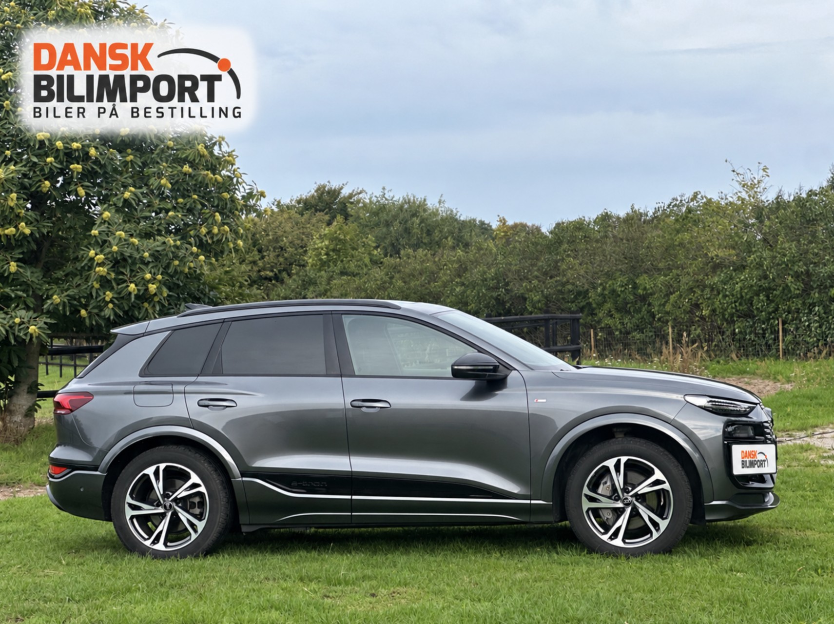 Billede af Audi Q6 E-tron Performance Progress 306HK 5d Aut.