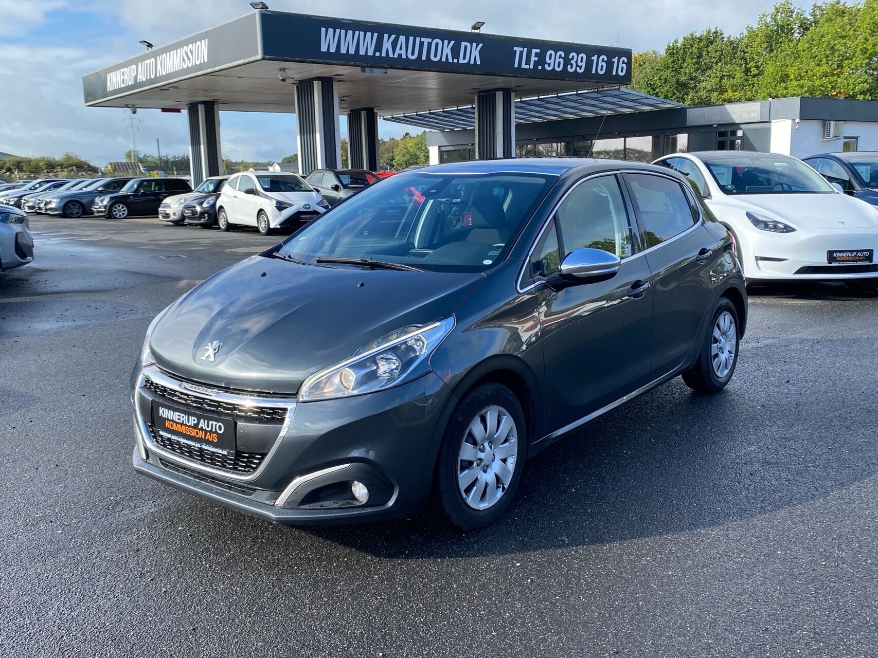 Billede af Peugeot 208 1,6 BlueHDi Desire Sky 100HK 5d