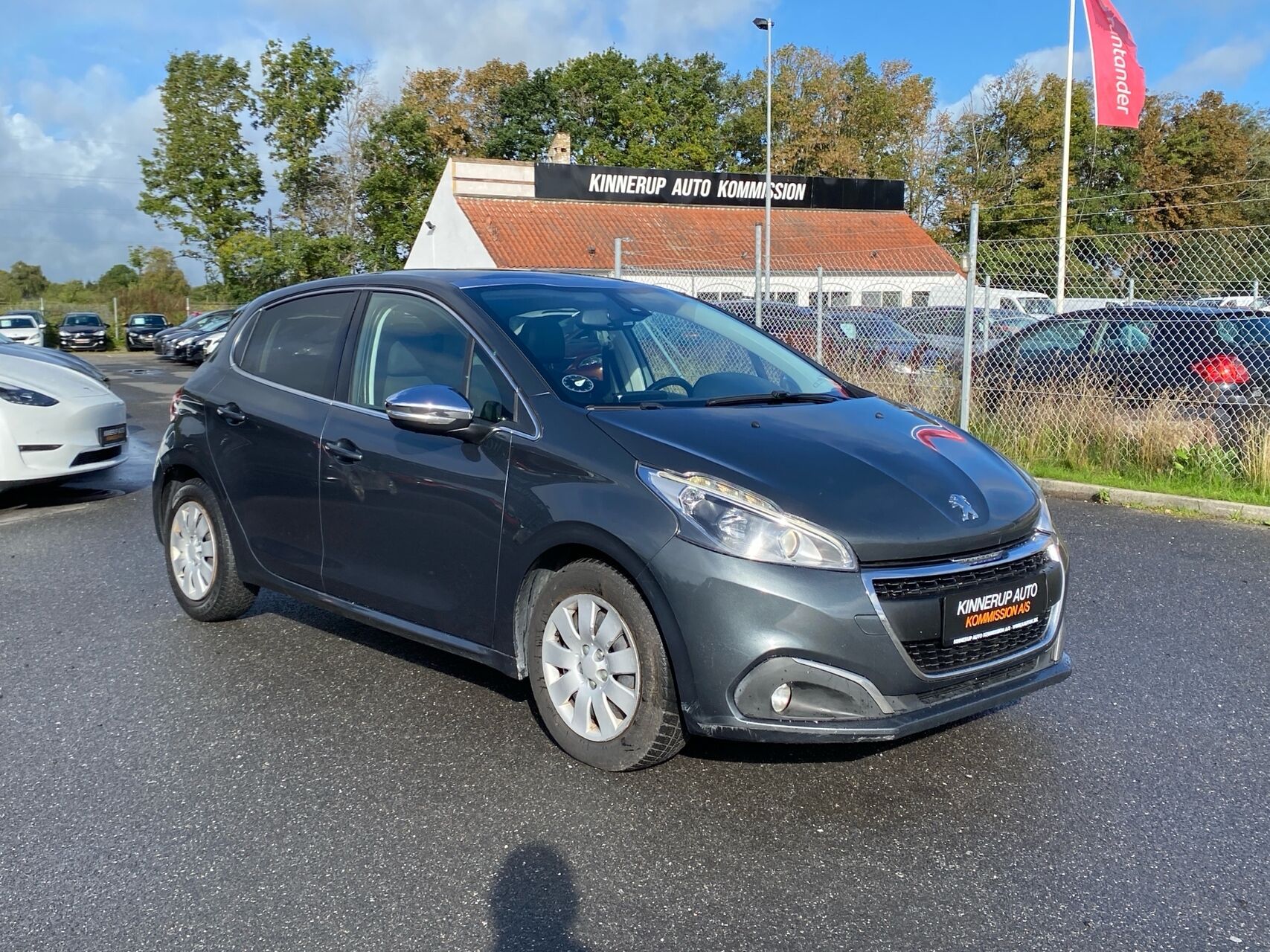 Billede af Peugeot 208 1,6 BlueHDi Desire Sky 100HK 5d