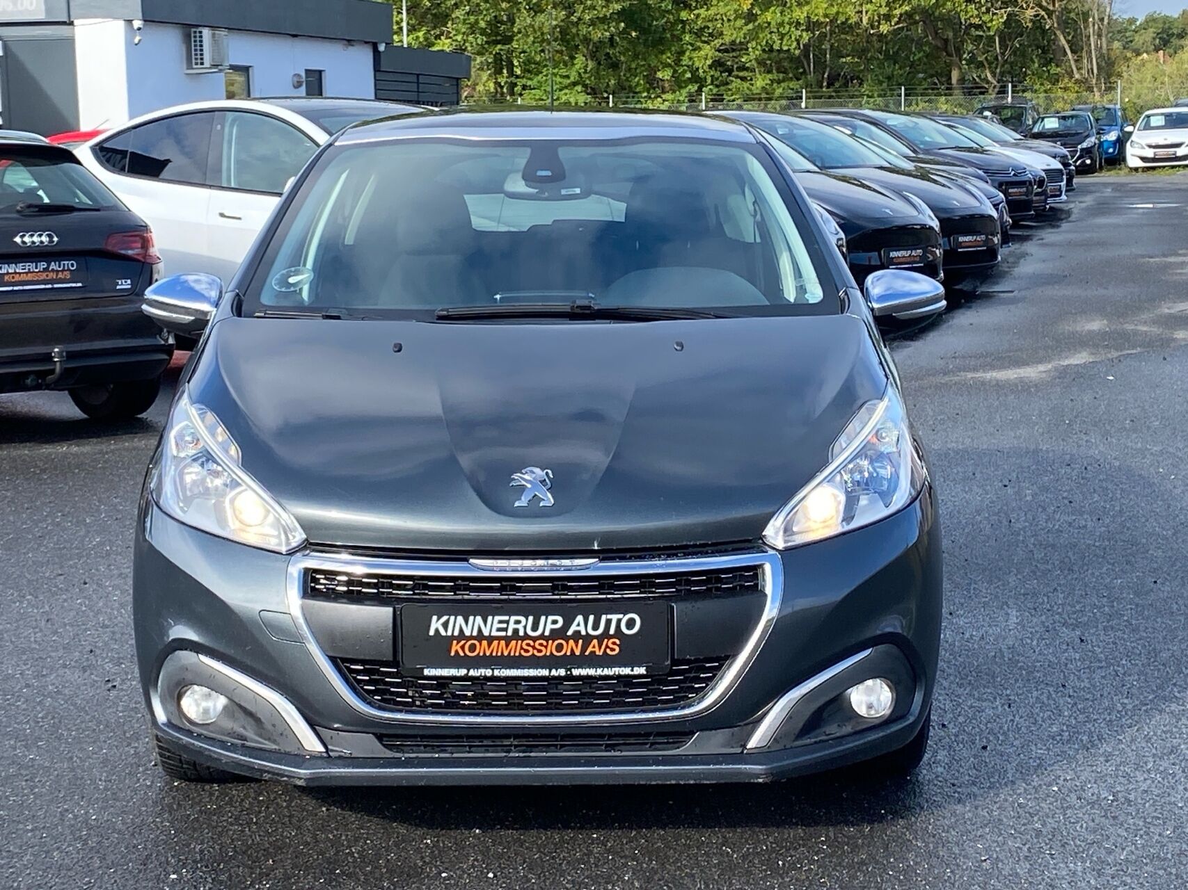 Billede af Peugeot 208 1,6 BlueHDi Desire Sky 100HK 5d