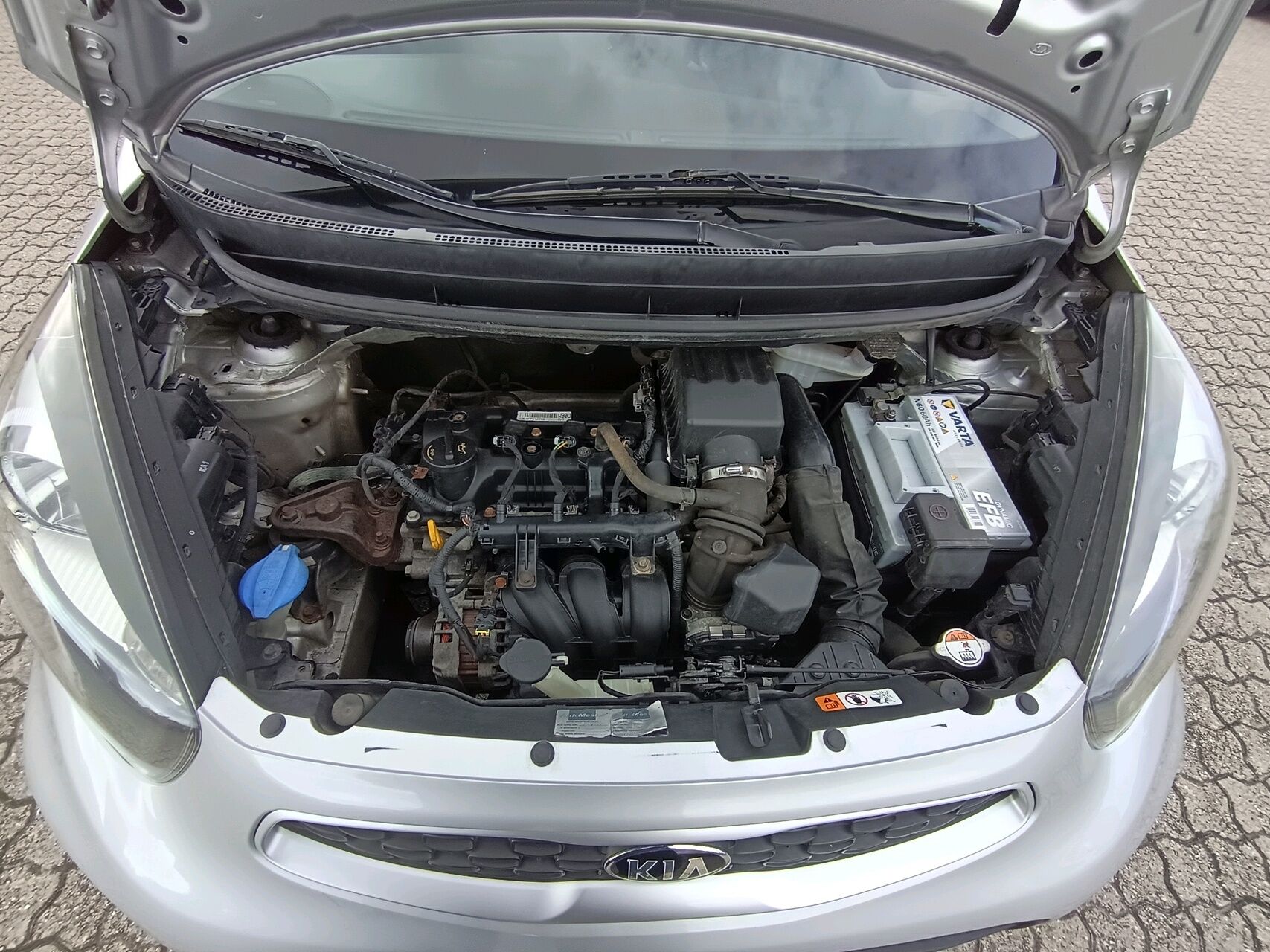 Billede af Kia Picanto 1,0 MPI Style Plus Intro 66HK 5d