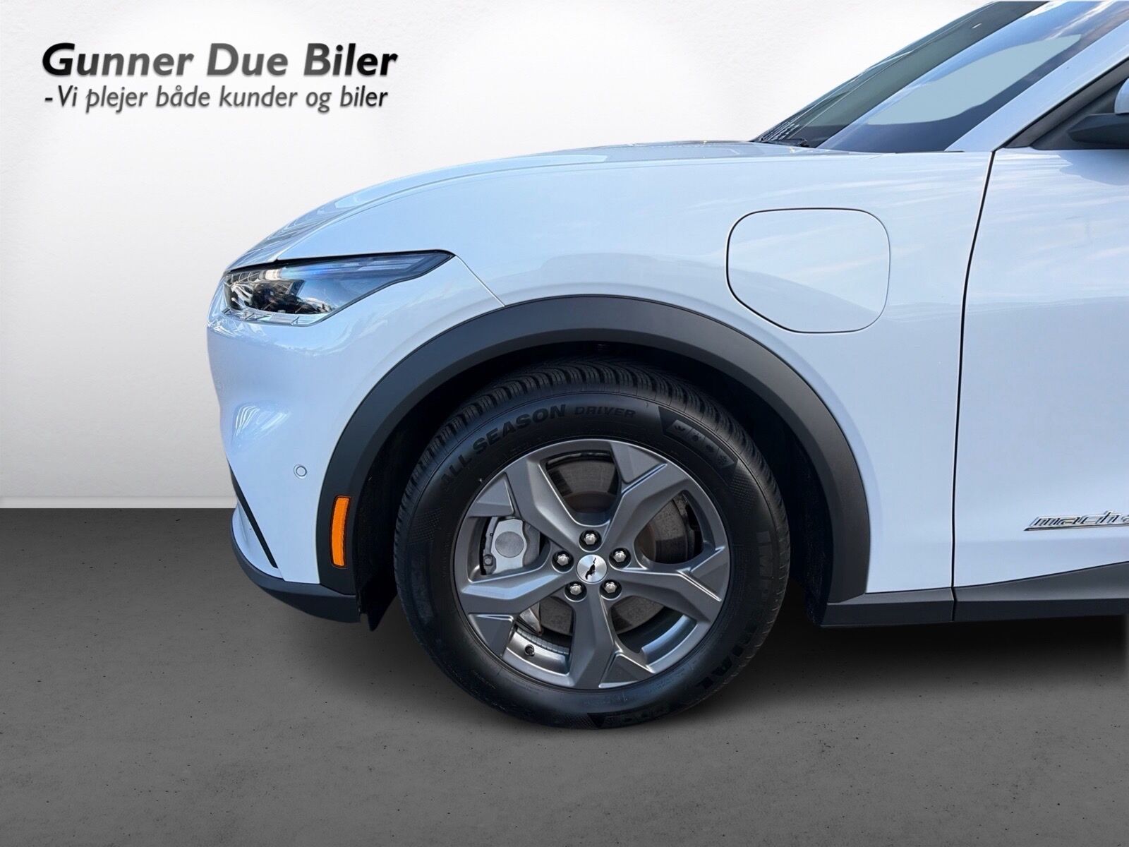 Billede af Ford Mustang Mach-E EL UR 294HK 5d Aut.