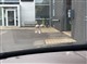 Billede af Mazda CX-30 2,0 Skyactiv-X  Mild hybrid Cosmo 180HK 5d 6g Aut.
