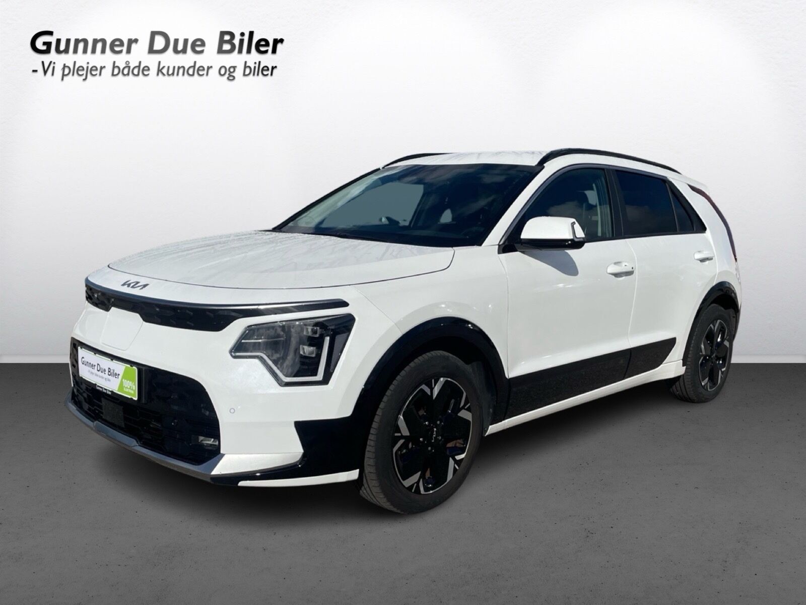 Billede af Kia Niro EV EL 204HK 5d Aut.