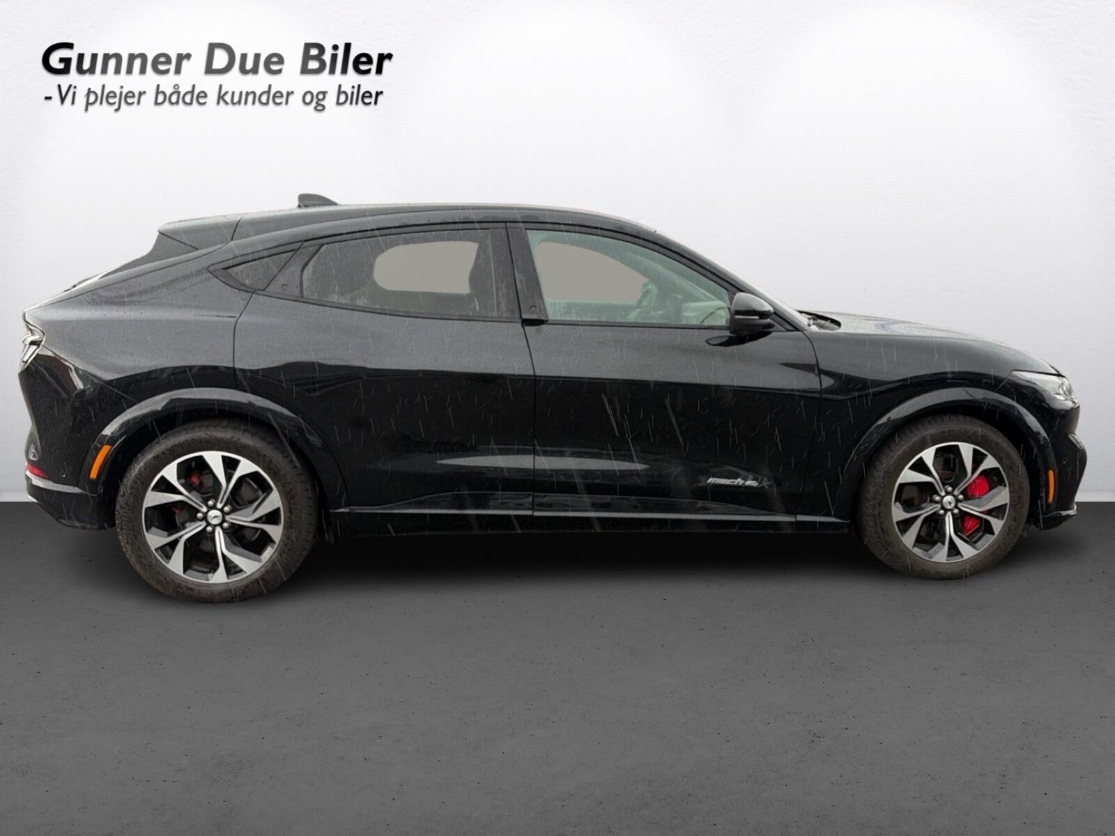 Billede af Ford Mustang Mach-E EL UR Premium AWD 351HK 5d Aut.