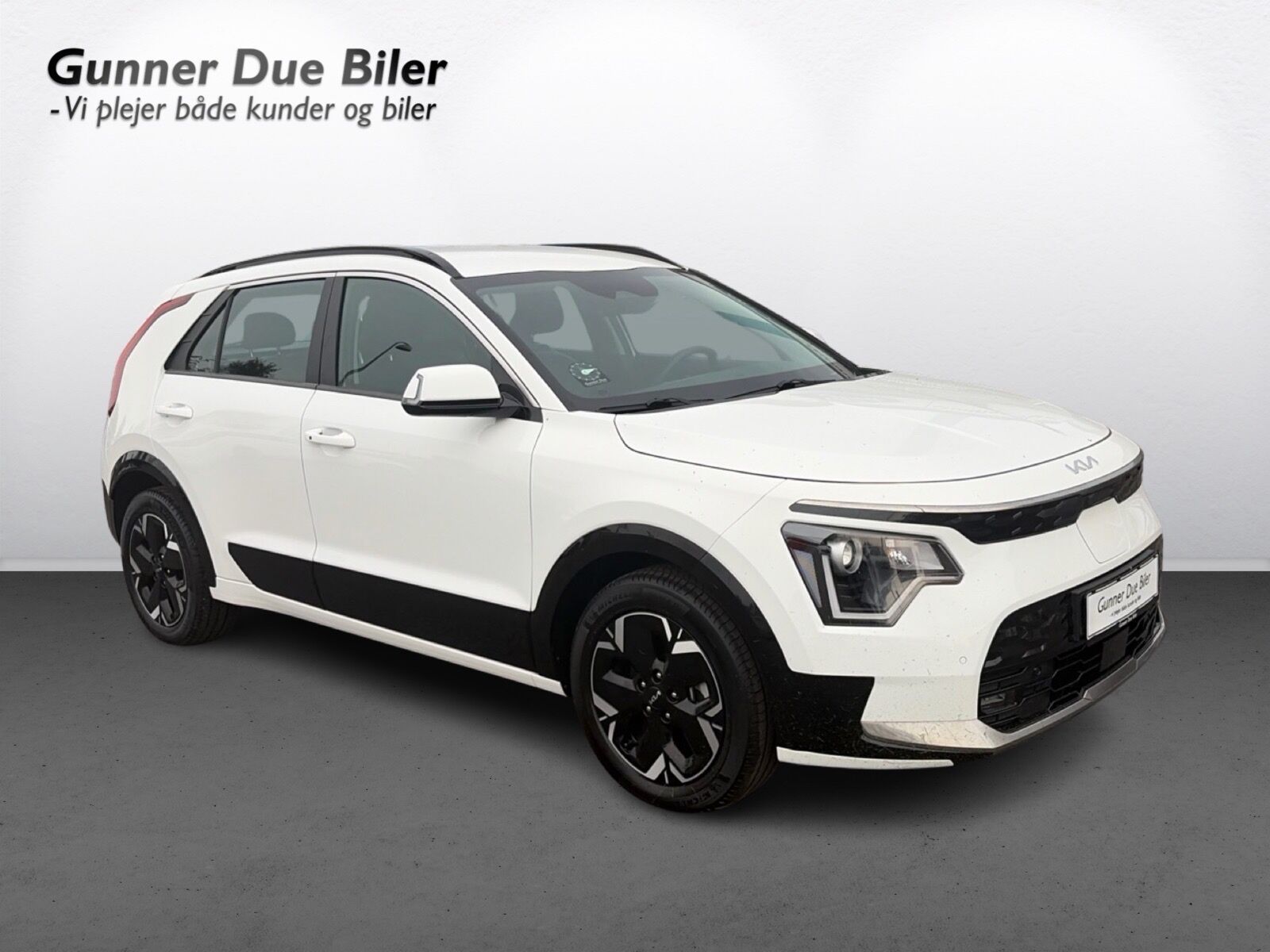 Billede af Kia Niro EV EL 204HK 5d Aut.