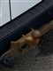 Billede af Ford Transit Custom 280 L1H1 2,0 TDCi Trend 130HK Van 6g