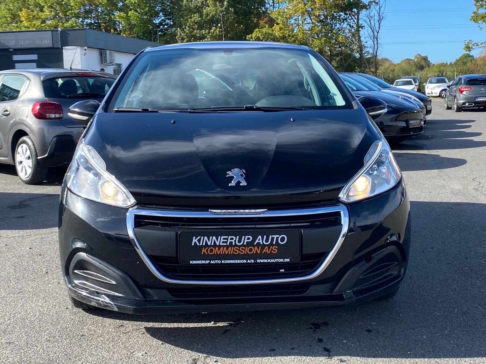 Billede af Peugeot 208 1,6 BlueHDi Chili Sky 100HK 5d