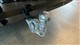 Billede af Ford Capri EL UR Premium AWD 340HK 5d Aut.