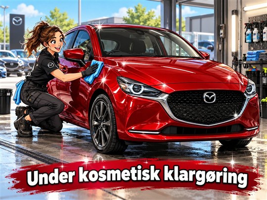 Mazda 2 1,5 Skyactiv-G Niseko 90HK 5d 6g Aut.