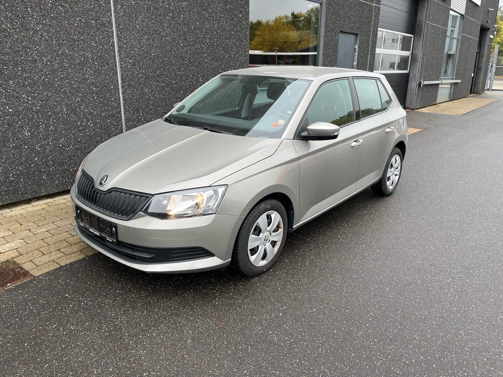 Billede af Skoda Fabia 1,2 TSI Active 90HK 5d