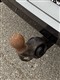 Billede af Cupra Formentor 1,4 TSI  Plugin-hybrid DSG 204HK 5d 6g Aut.
