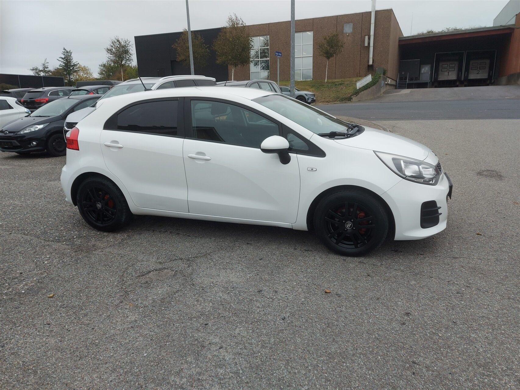 Billede af Kia Rio 1,2 Intro Edition 85HK 5d